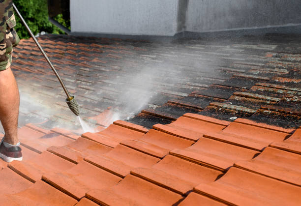 Professional Pressure Washing in Altoona, AL