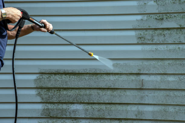 Best Sidewalk Pressure Washing  in Toona, AL
